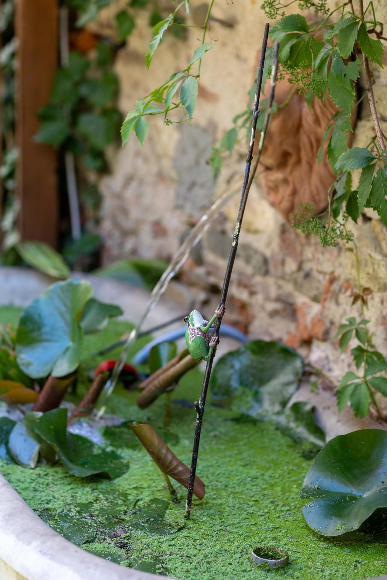 Secret Garden Firenze B&B Exteriör bild